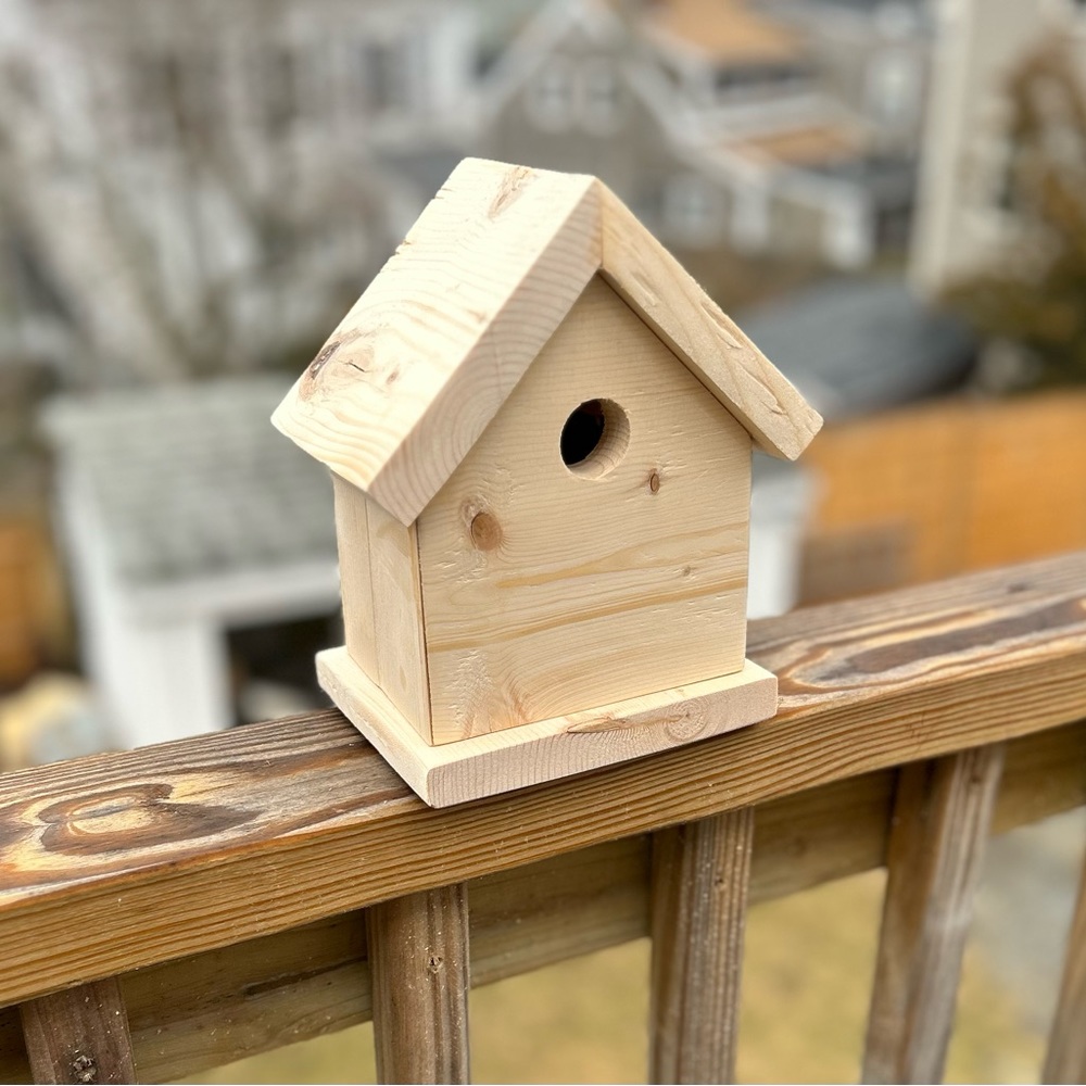 Birdhouse - blank for painting or arts and crafts with the kids